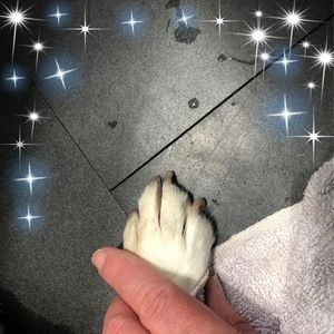 Meet your Posher, Lee-anne